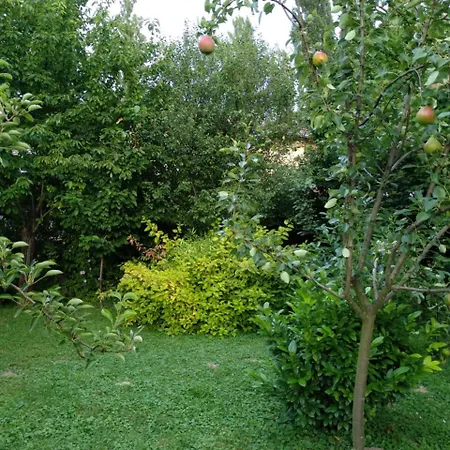 Holiday home Benaja Swiss Nyaralohaz